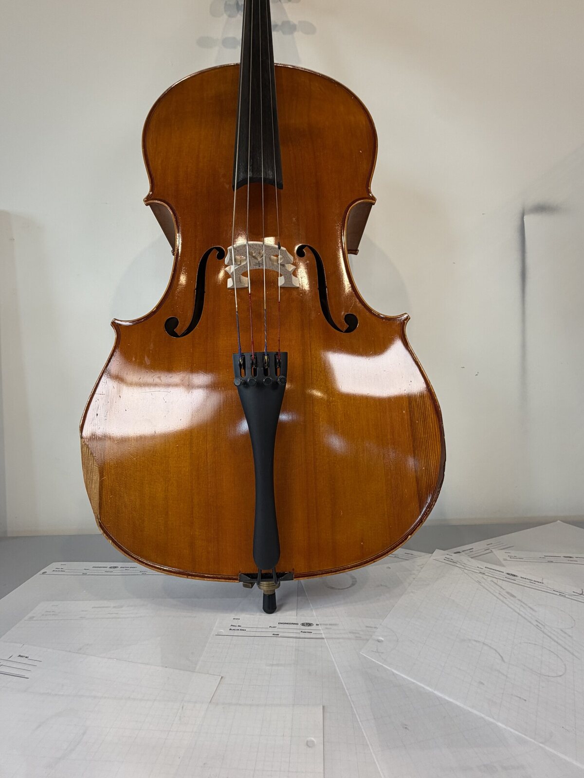 Front of a 4/4 Strobel MC-100 cello, strung with the bridge standing
