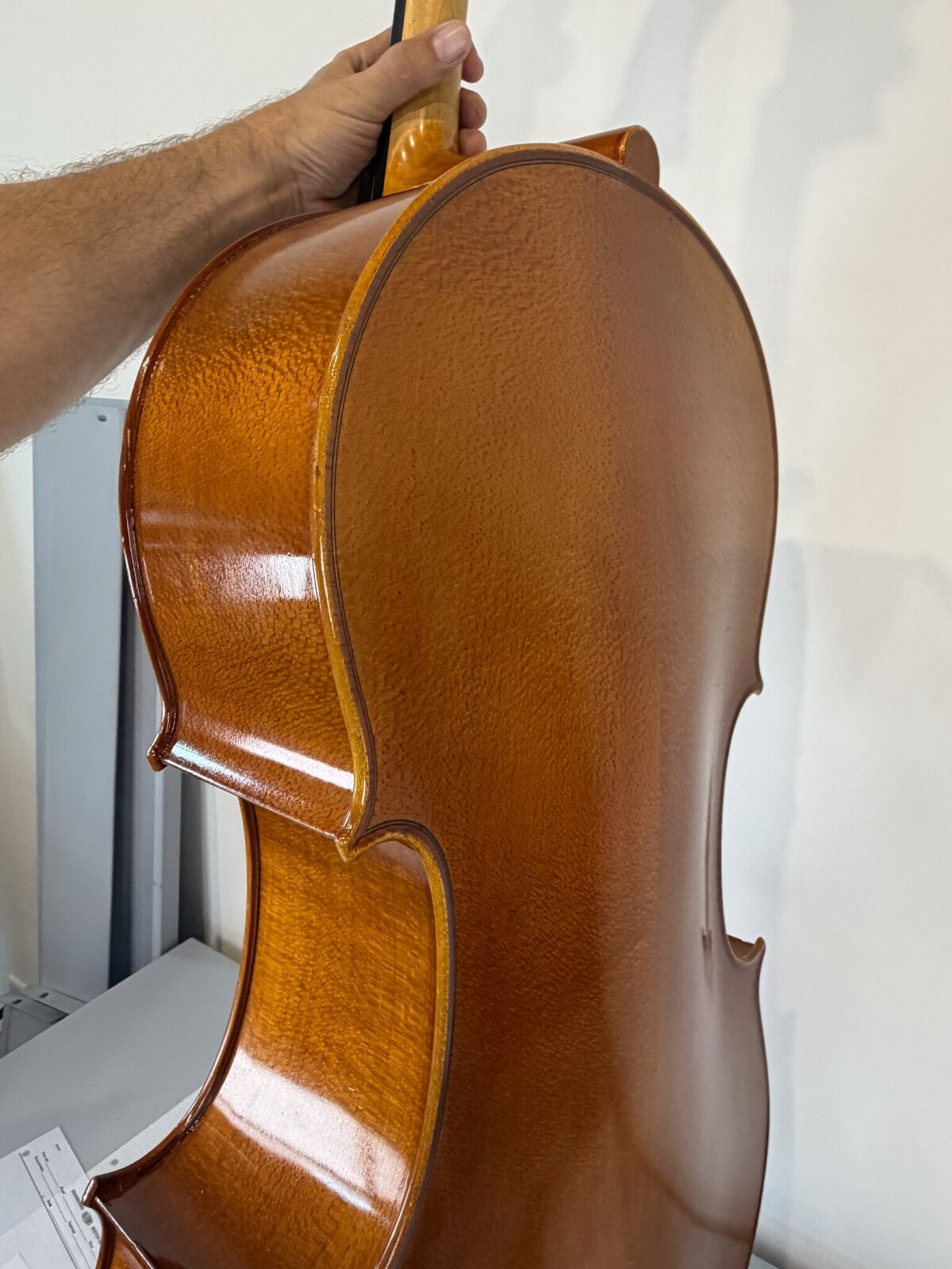 Flamed maple back of the Strobel MC-100 cello, clean with no cracks