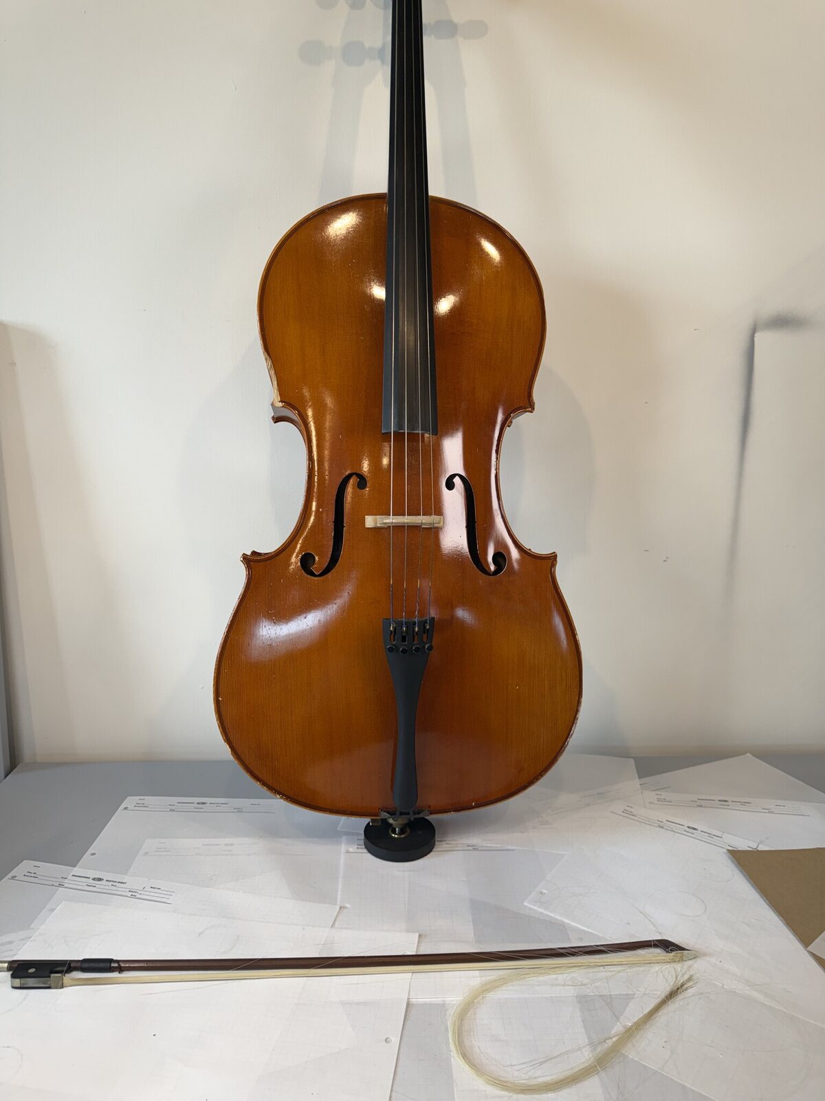 Front of a 4/4 Strobel MC-100 cello with the bridge up and strung
