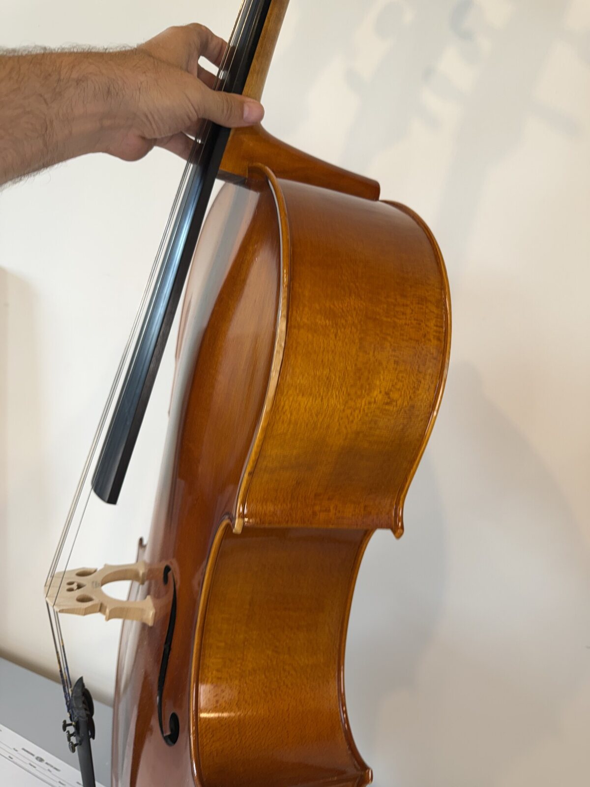 Back and ribs of the cello, clean with no open seams