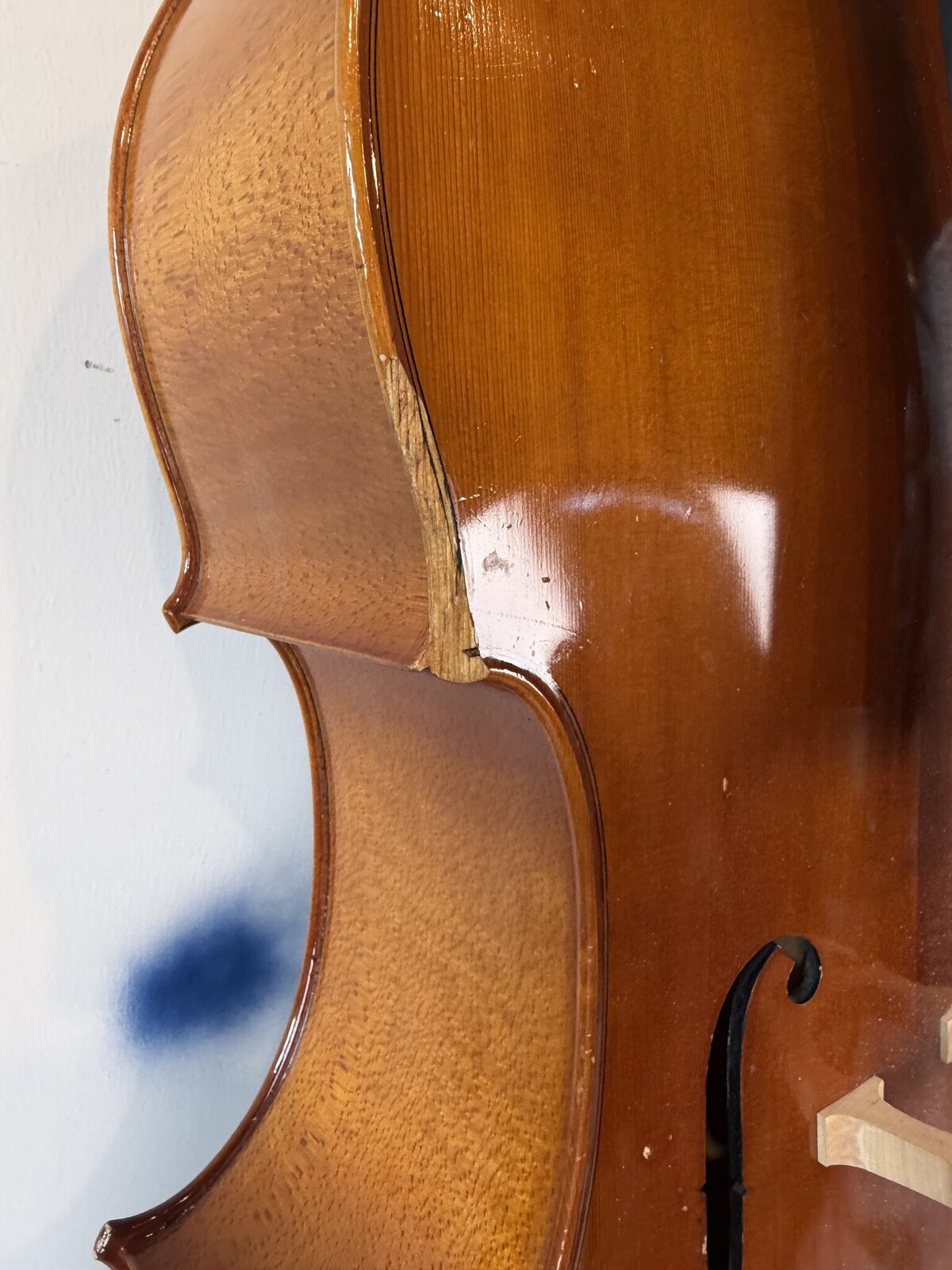 Chipped cello corner at the upper bass-side C-bout, down to bare splintered spruce