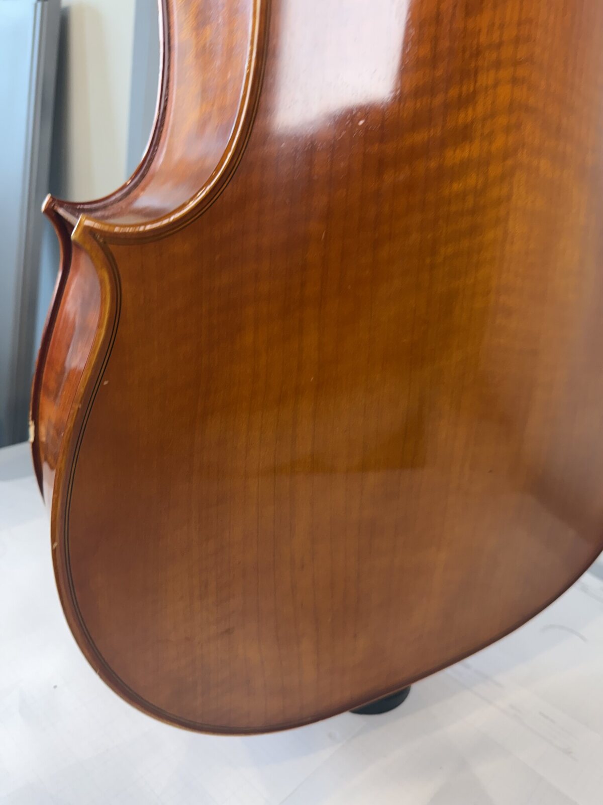 Back of the Otto Benjamin MC-200 cello, clean with no cracks
